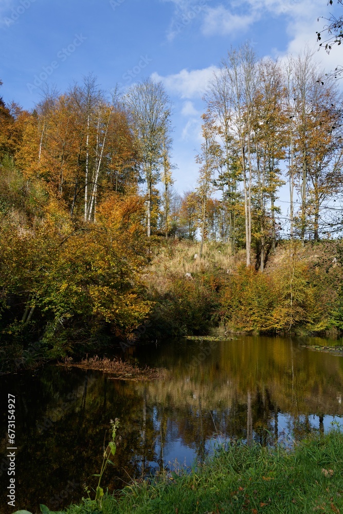 Autumn by the forest lake. Hostyn hills. Czechia. Autumn by the forest lake. Hostyn hills. Czechia.