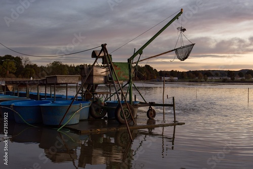 Fish vats before the catch at dawn. Choryne Velka. Eastern Moravia. Czechia.