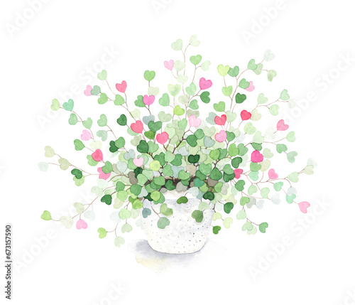 Abstract plant with green leaves and delicate pink hearts in white ceramic pot, watercolor isolated illustration for greeting card, for Valentines day or birthday, beautiful design element.