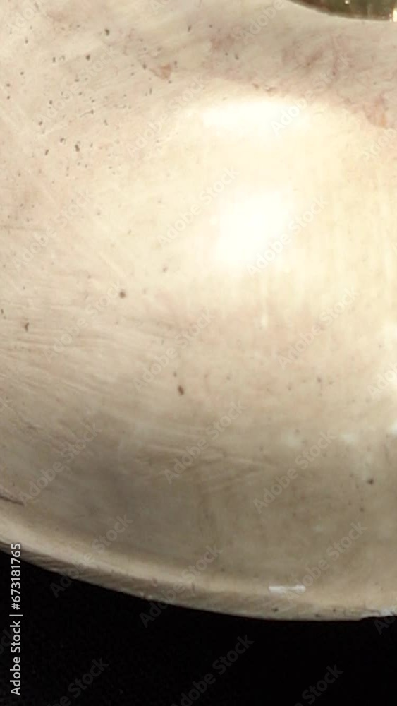 Video verticale, particolare ravvicinato maschera di carnevale
