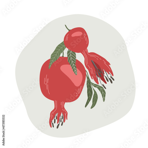 Pomegranate branch. Fruit with leaves.