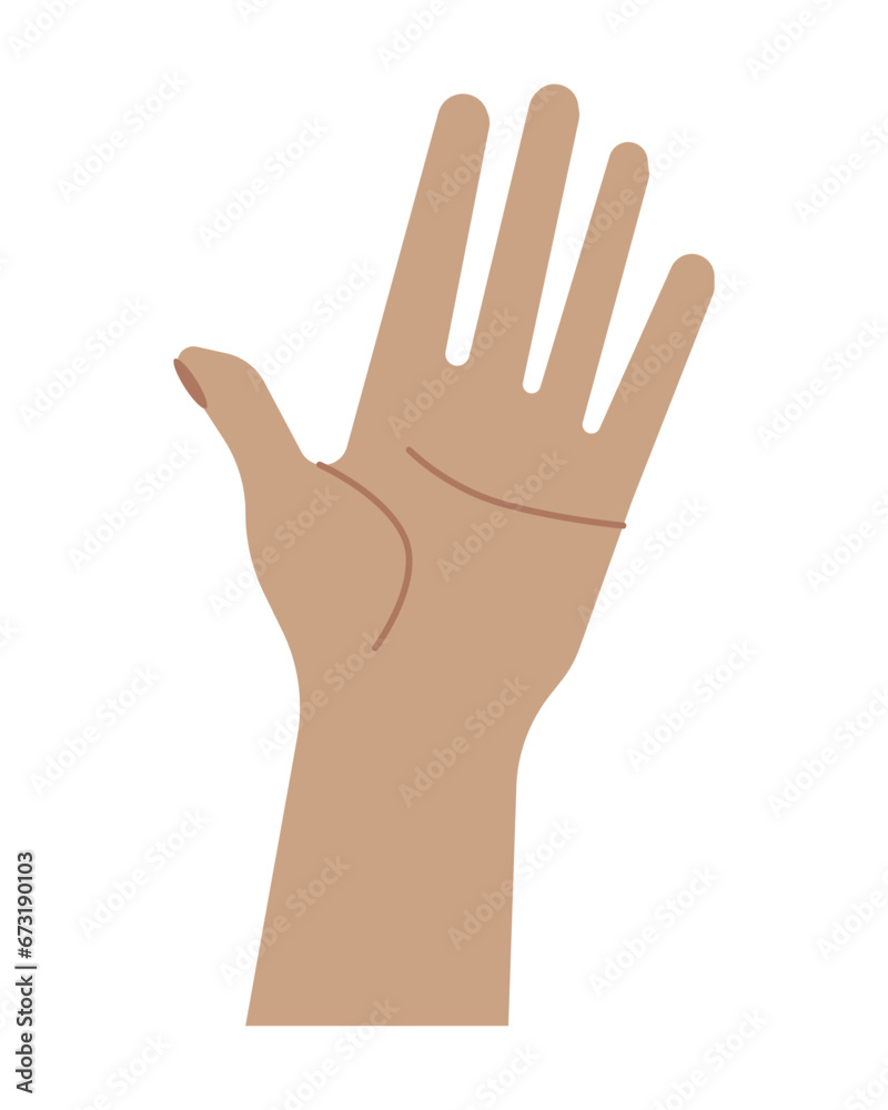 Vector illustration Human hand with open palm isolated on white background Vector illustration Human hand with open palm isolated on white background