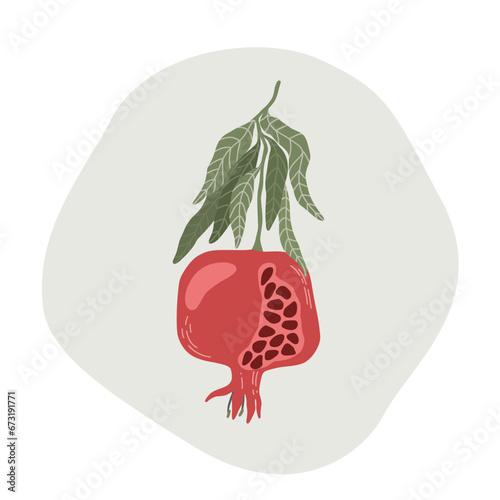 Pomegranate branch with seeds. Fruit with leaves.