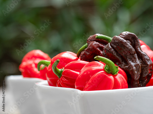 Mixed Colored Chilis on outdoor kitchen plates in close up view