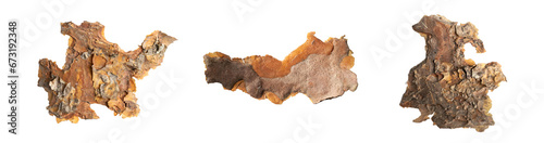 Schilderij op canvas pine bark on white isolated background