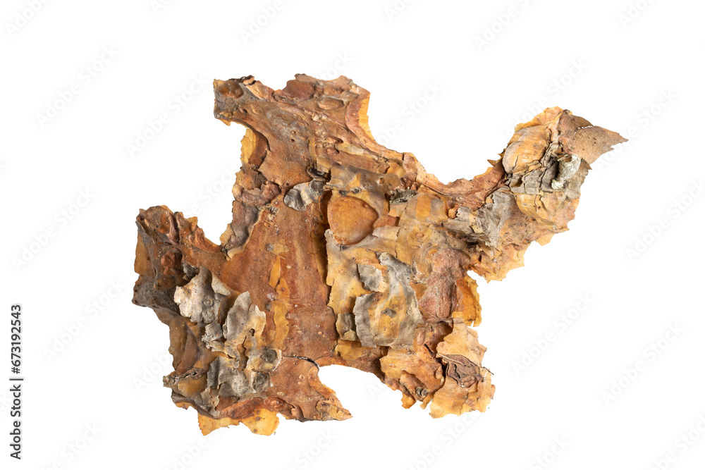 pine bark on white isolated background pine bark on white isolated background
