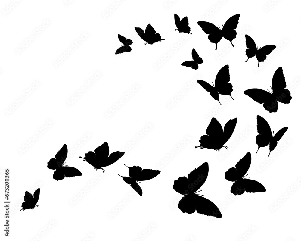 silhouettes of birds flock silhouettes of birds flock