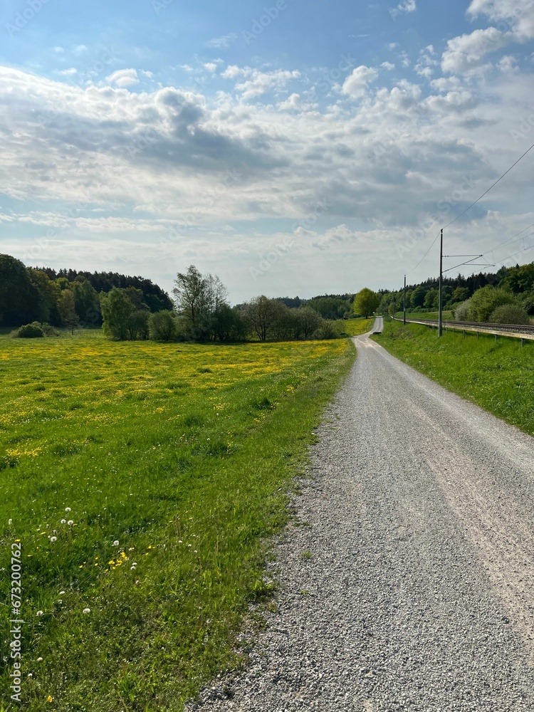 Vertical of a country road in a green field under a cloudy blue sky