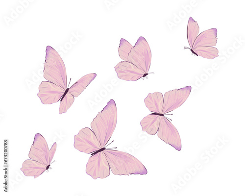 set of butterflies pink butterfly on white background © gltekin