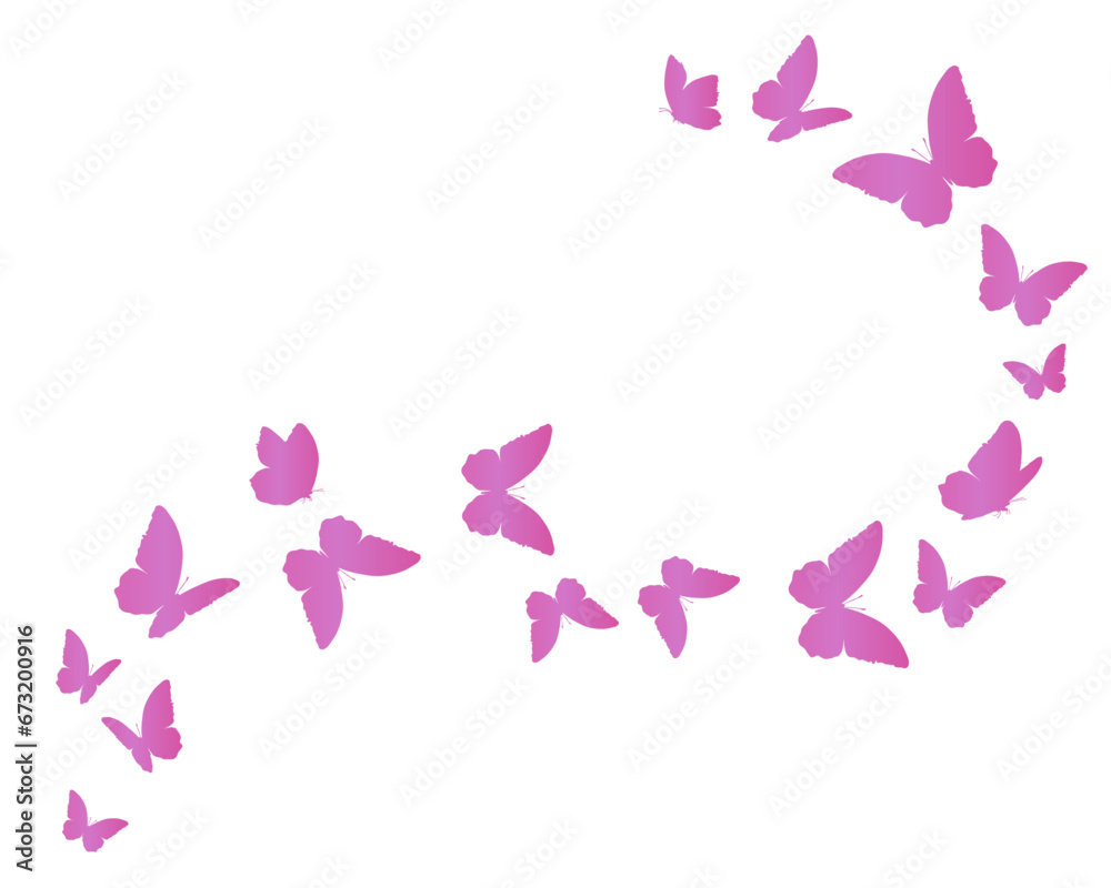 butterflies and flowers