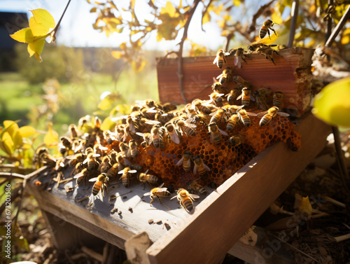 Busy Honeybees at Work on a Hive in a Sunny Garden Setting