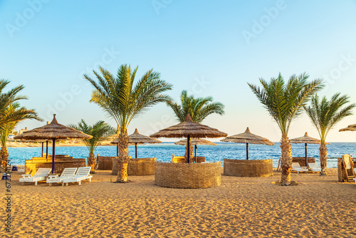 Sunny resort beach with palm trees and umbrellas. © lizavetta