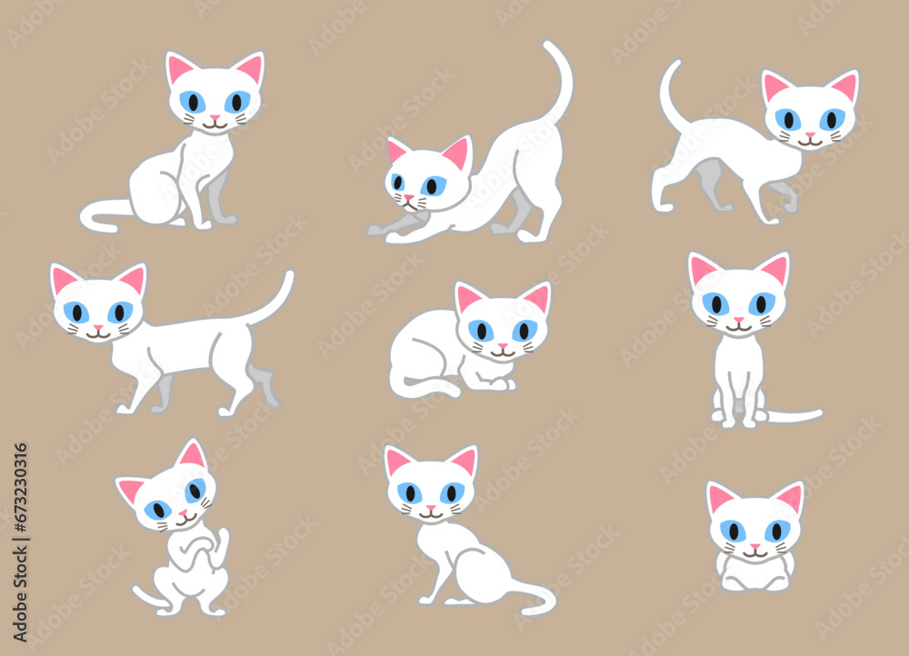 Set of White cat in different poses Set of White cat in different poses