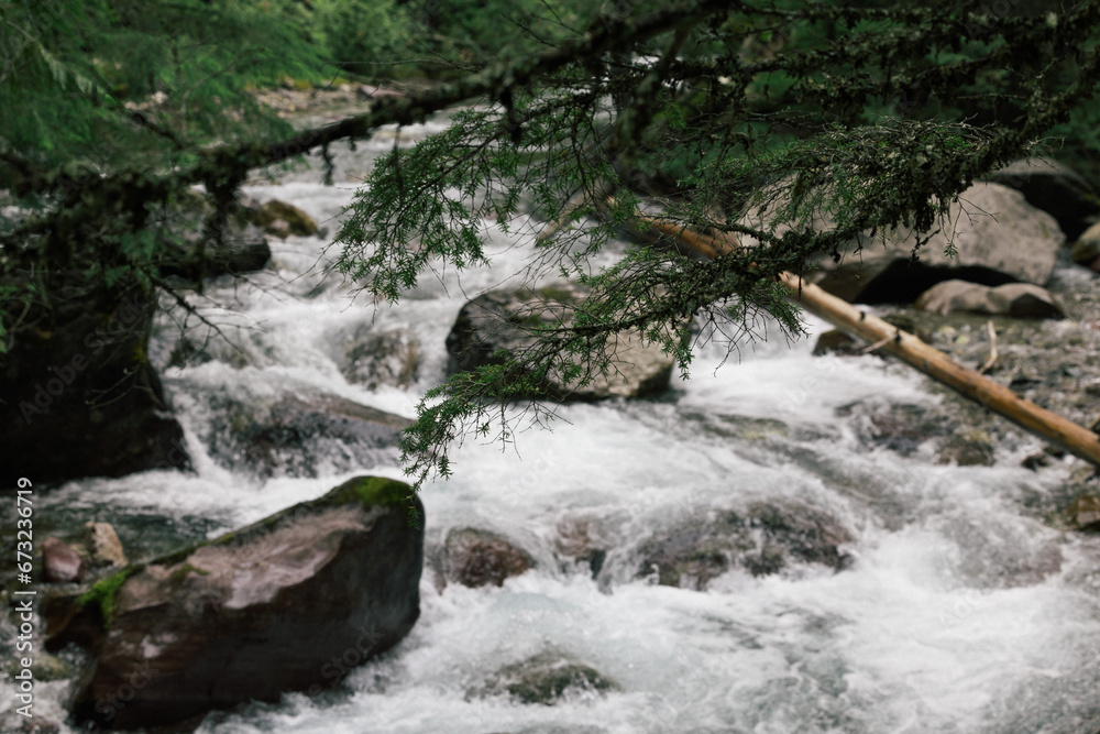 Fototapeta premium waterfall in the forest