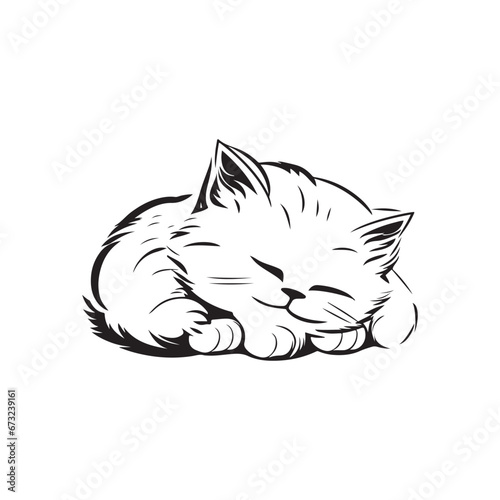 Cat image Vector, art and Illustration
