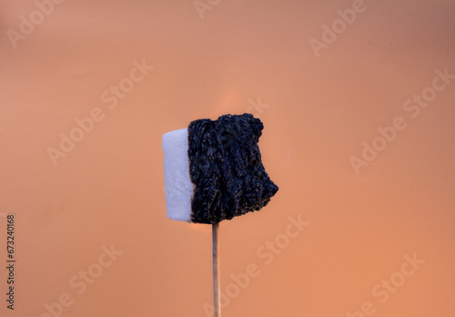 Marshmallow catching fire on a wooden stick