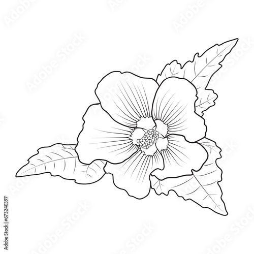 Hardy hibiscus syriacus flower botanical vector illustration, coloring book page
