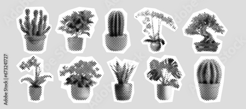 Houseplants in pots to remove CO2 from air. Growing home flowers and cacti to decorate interior. Houseplants from greenhouse made from dots of different sizes. Violet and aloe near bonsai plant