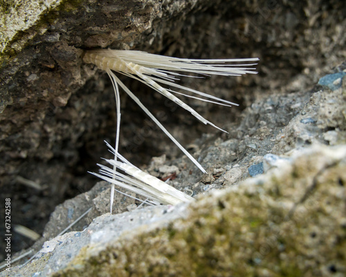 Canvas Print Rupture of fiberglass reinforcement during concrete destruction