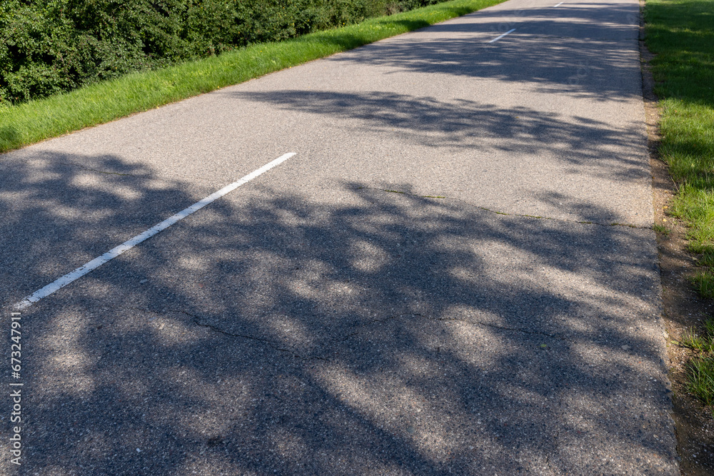 Obraz premium paved old road in the forest in summer