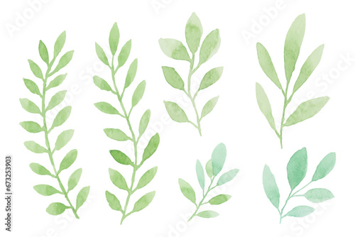 Watercolor leaves illustration set - green leaf branches collection for wedding  greetings  stationary  wallpapers  fashion  background. olive  green leaves  Eucalyptus etc