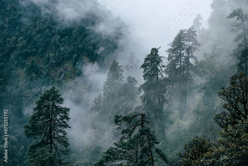 Beautiful misty morning jungles foggy rainforest jungles landscape photo in Makalu Barun National Park near Chatra Khola settlement. Mera peak climbing route, Himalayas, Nepal. photo