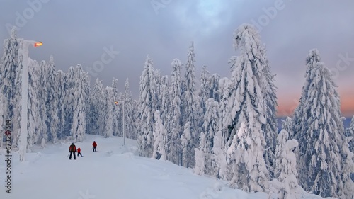 Group of people skiing down a mountain trail, surrounded by a forest of tall evergreen trees