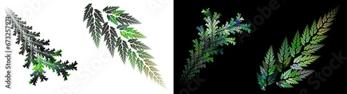 Set of coniferous and deciduous twigs isolated on white and black backgrounds. Set of graphic design elements. 3D rendering. 3D illustration.