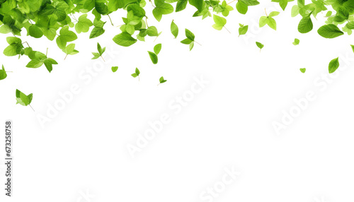green leaves frame isolated on transparent background cutout