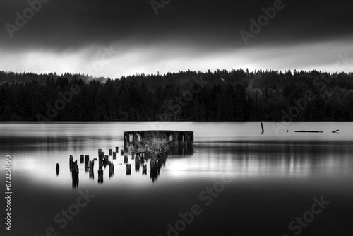 Black and white waterfront scene with a lush fir tree forest in the background