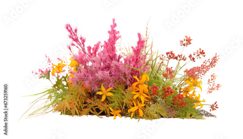 flowers in the grass isolated on transparent background cutout