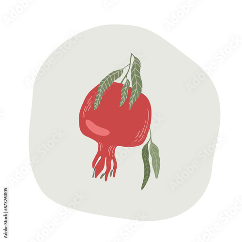 Pomegranate branch. Fruit, leaves. Packages print