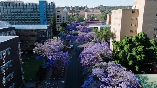 Wallpaper Mural Aerial. Flying over beautiful flowering Jakaranda trees towards Parliament Buildings in Pretoria, South Africa Torontodigital.ca