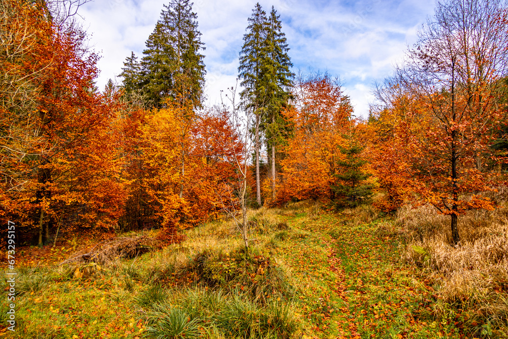 Herbstliche Wanderung durch den Spittergrund bei Tambach-Dietharz zum Wasserfall  - Thüringer Wald - Thüringen - Deutschland