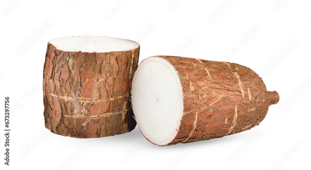 Cassava isolated on white background Cassava isolated on white background