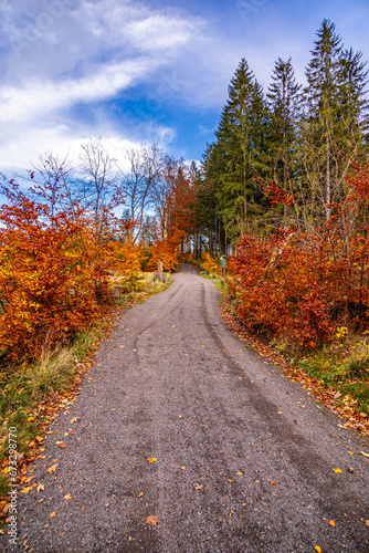 Herbstliche Wanderung durch den Spittergrund bei Tambach-Dietharz zum Wasserfall  - Thüringer Wald - Thüringen - Deutschland © Oliver Hlavaty