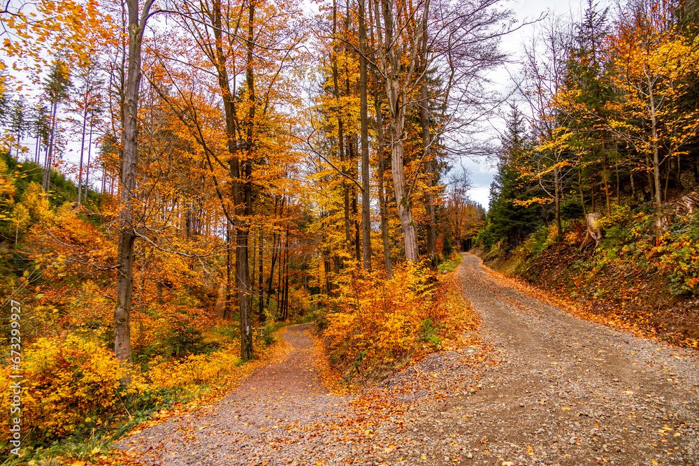 Herbstliche Wanderung durch den Spittergrund bei Tambach-Dietharz zum Wasserfall  - Thüringer Wald - Thüringen - Deutschland