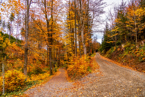 Herbstliche Wanderung durch den Spittergrund bei Tambach-Dietharz zum Wasserfall  - Thüringer Wald - Thüringen - Deutschland photo