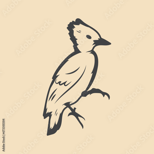 Retro woodpecker Bird vector Stock Illustration
