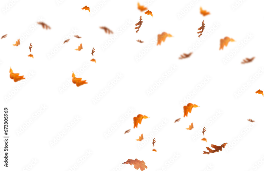 autumn leaves border. Falling  Maple Leaves PNG , Flying Leaves, Leaves PNG. Autumn leaves png , yellow leaves 