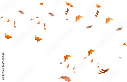 autumn leaves border. Falling  Maple Leaves PNG , Flying Leaves, Leaves PNG. Autumn leaves png , yellow leaves  photo