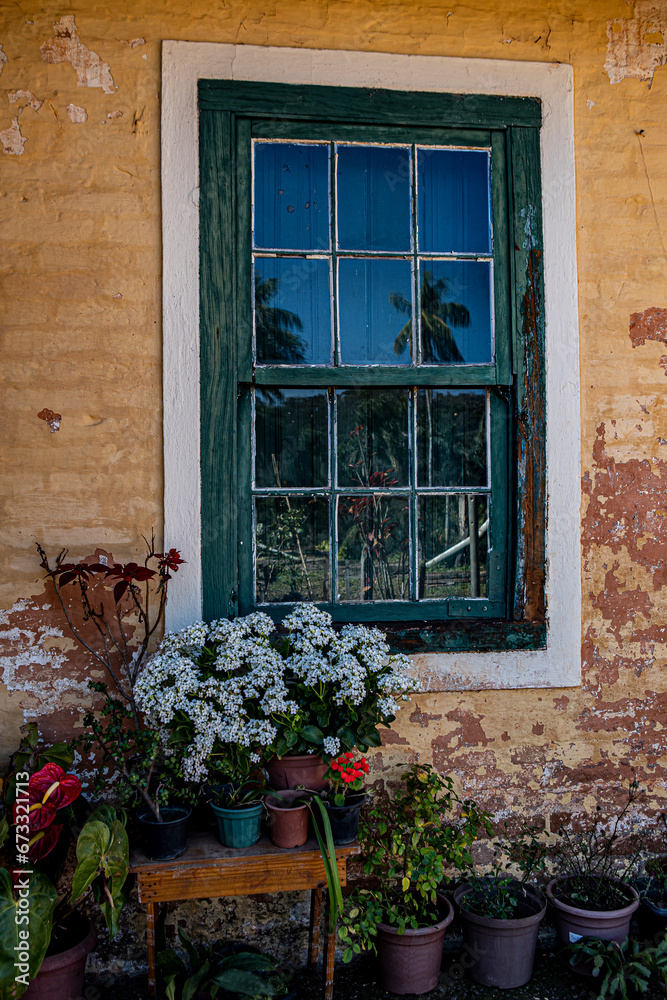 Vintage green window on yellow brick wall decorated with colorful flowers in vases