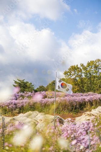 대한민국 flower, 네이처, 분홍, 봄, 식물, flower, 블로섬, 개화, 뜰, 보라색, 식물, 여름, 미, 근접, 매크로, 개화, 가지, 꽃, 변색, 나뭇잎, 꿀벌, 헤더, 나물, beautiful