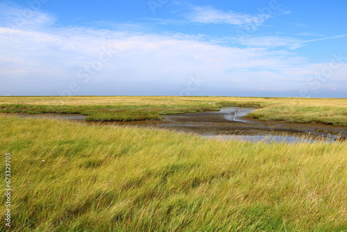 Landscape on the island of Neuwerk | Wadden Sea National Park photo