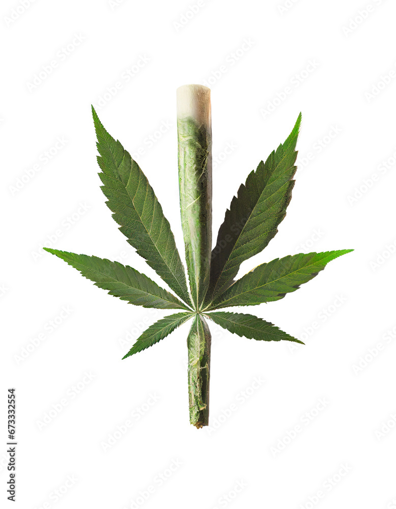 Cannabis joint isolated on transparent background