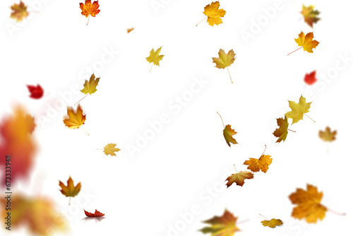 autumn leaves on the ground. yellow leaves. autumn leaves isolated on white. autumn leaves border. Falling Maple Leaves PNG   Flying Leaves  Leaves PNG. Autumn leaves png 