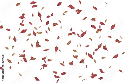 autumn leaves on the ground. yellow leaves. autumn leaves isolated on white. autumn leaves border. Falling Maple Leaves PNG , Flying Leaves, Leaves PNG. Autumn leaves png 