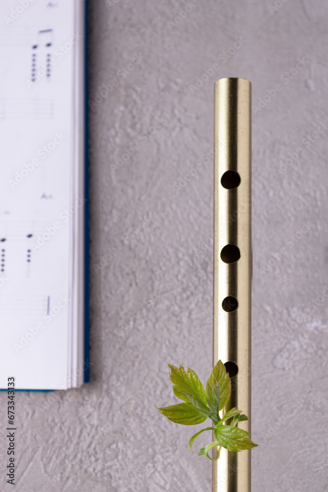 An Irish penny whistle and a notebook with notes on a light textured background, a copy of the space An Irish penny whistle and a notebook with notes on a light textured background, a copy of the space