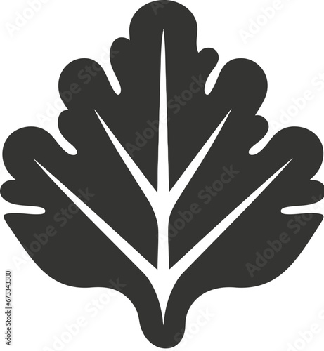 Kale Leaves Icon