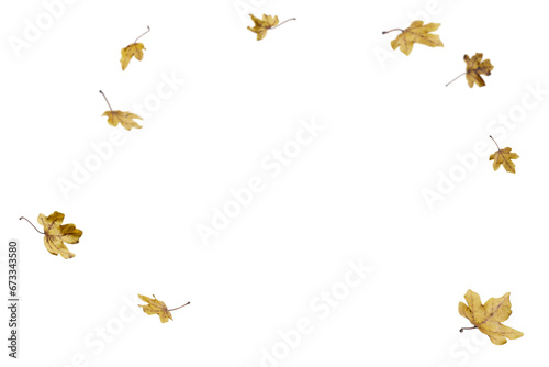 autumn leaves on the ground. yellow leaves. autumn leaves isolated on white. autumn leaves border. Falling Maple Leaves PNG   Flying Leaves  Leaves PNG. Autumn leaves png 